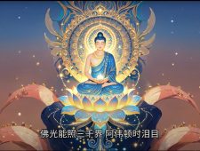 摧邪顯正撥迷霧系列文集​​ 视频