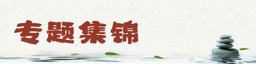 专题集锦