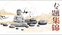 专题集锦