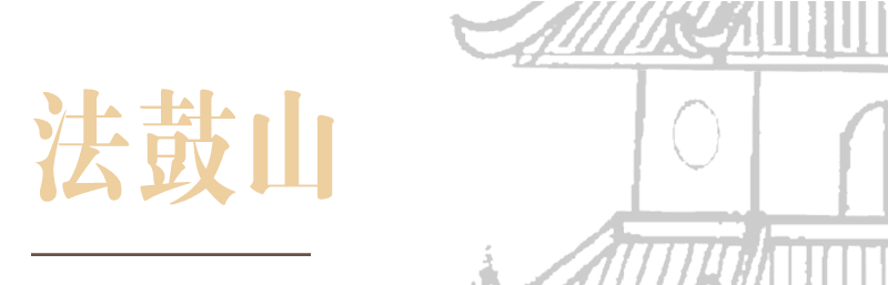https://www.ddm.org.tw/