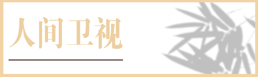 人間衛視