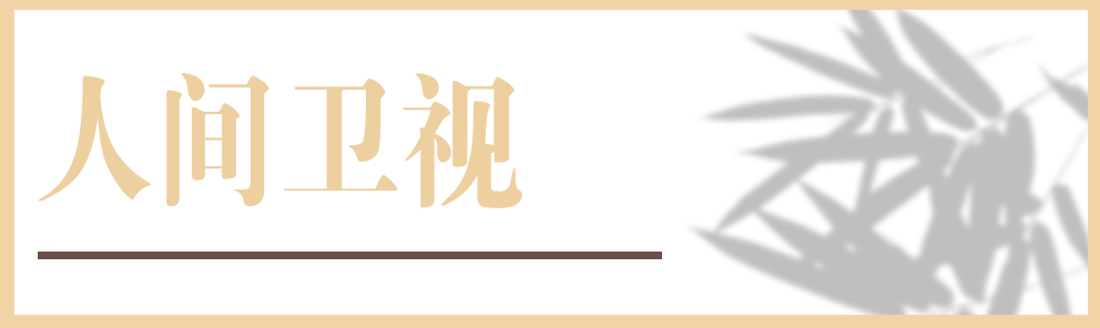人間衛視