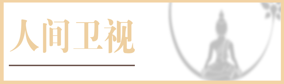人間衛視
