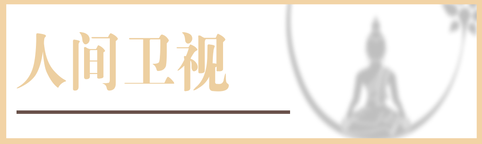 人間衛視
