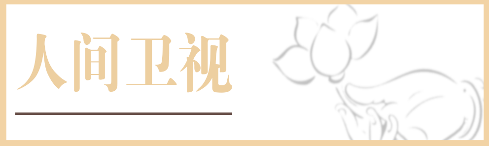 人間衛視