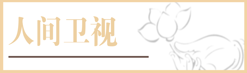人間衛視
